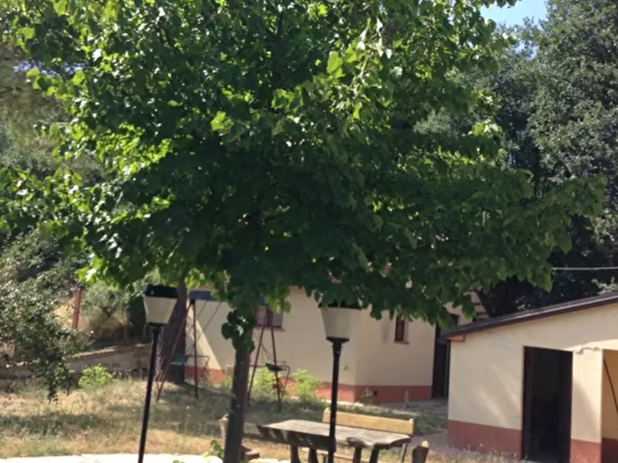 Immagine 61 di Rustico / casale in vendita  a Senigallia