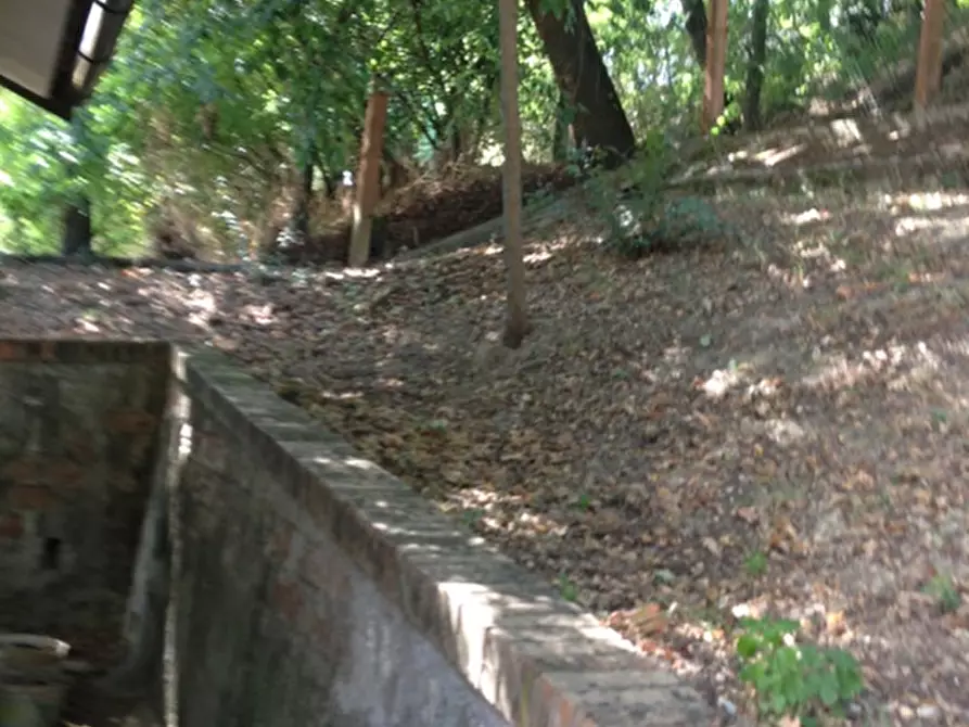 Immagine 72 di Rustico / casale in vendita  a Senigallia