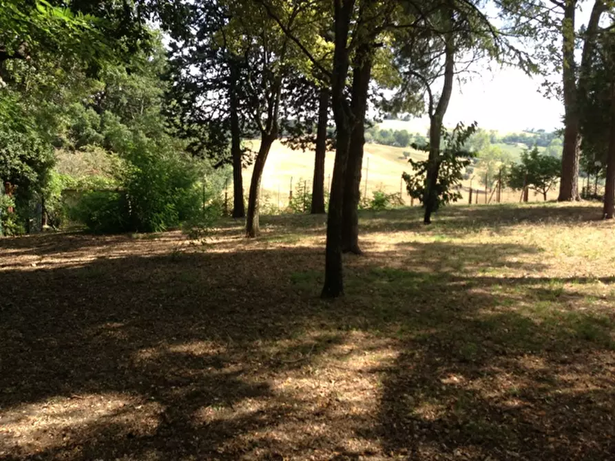 Immagine 89 di Rustico / casale in vendita  a Senigallia