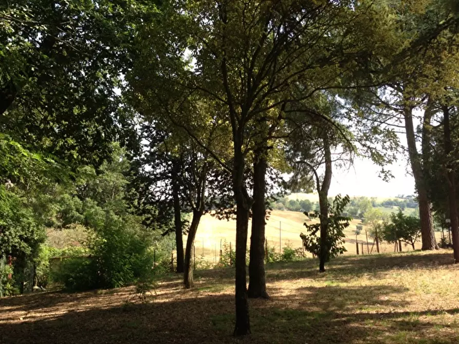 Immagine 90 di Rustico / casale in vendita  a Senigallia