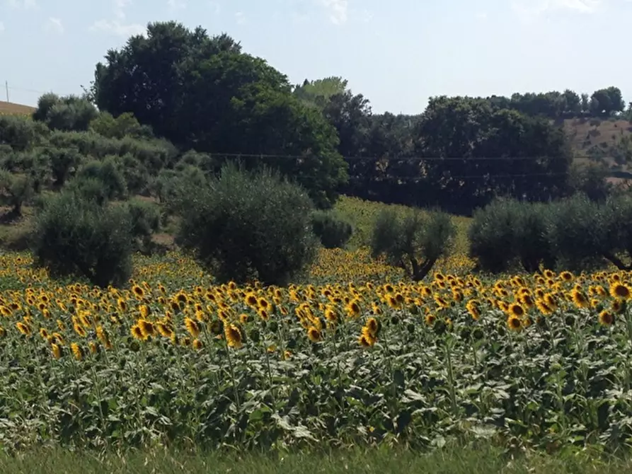 Immagine 96 di Rustico / casale in vendita  a Senigallia