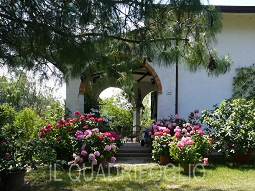 Immagine 5 di Villa in vendita  a Cesena