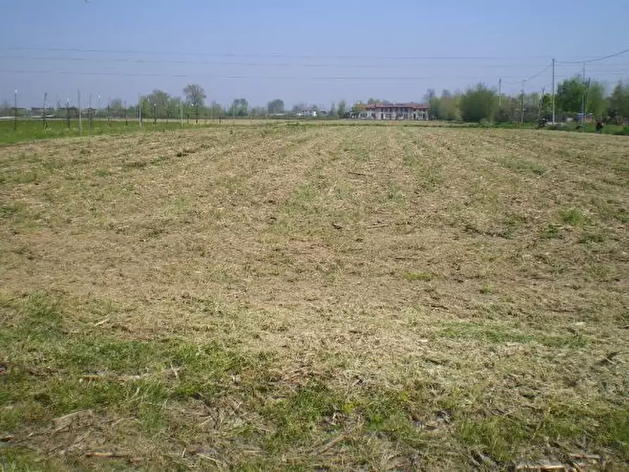 Immagine 1 di Terreno in vendita  a Campodarsego