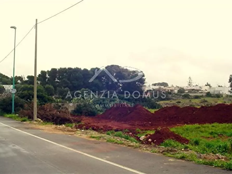 Immagine 1 di Terreno in vendita  in via ortles a Racale