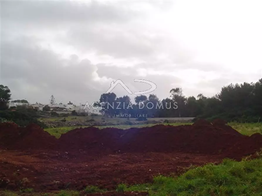 Immagine 4 di Terreno in vendita  in via ortles a Racale