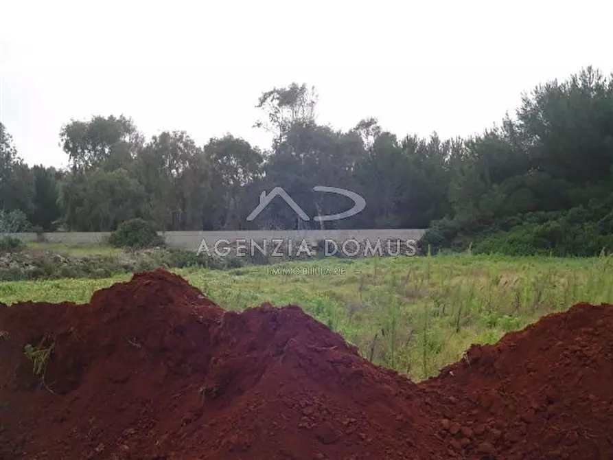 Immagine 6 di Terreno in vendita  in via ortles a Racale