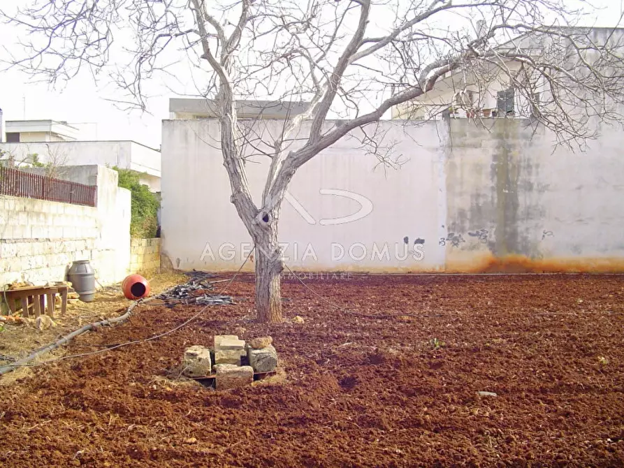 Immagine 6 di Terreno in vendita  in via umbria a Racale