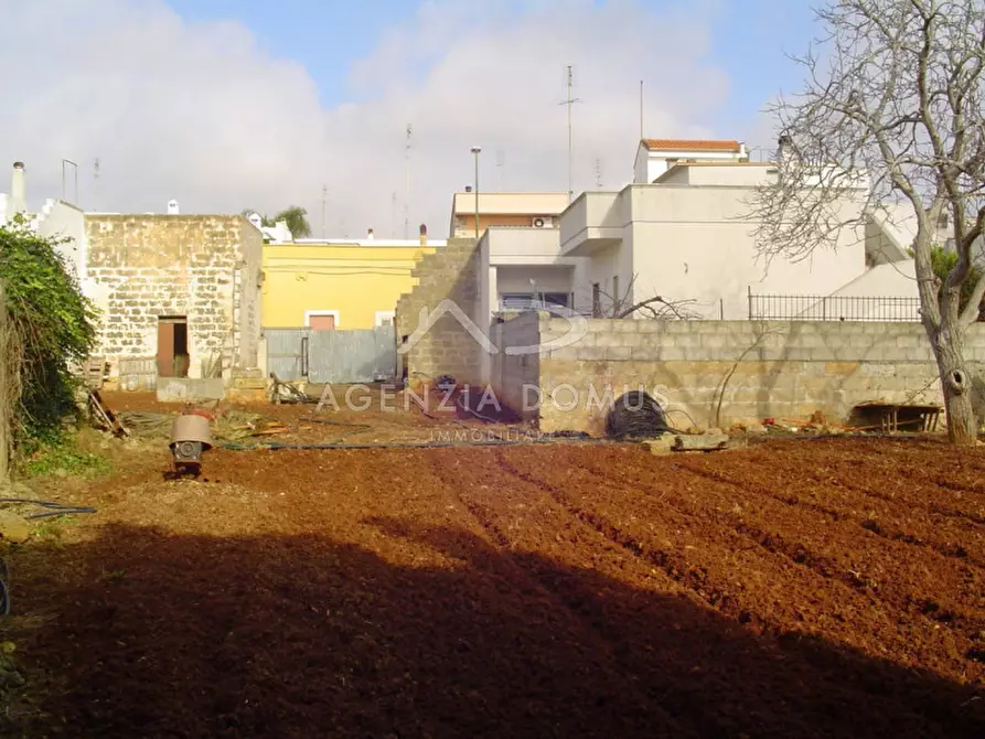 Immagine 9 di Terreno in vendita  in via umbria a Racale