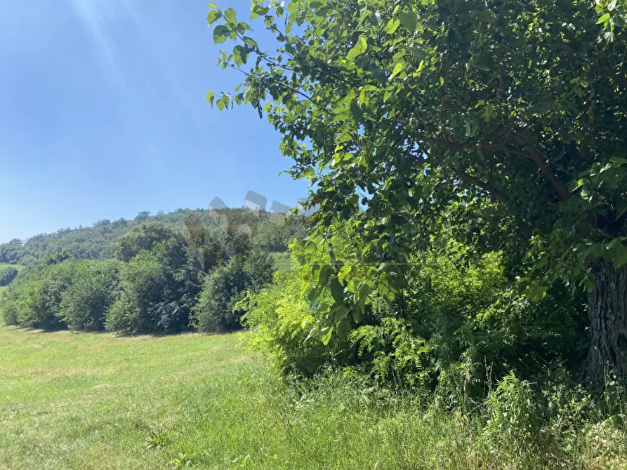 Immagine 2 di Terreno in vendita  a Val Liona