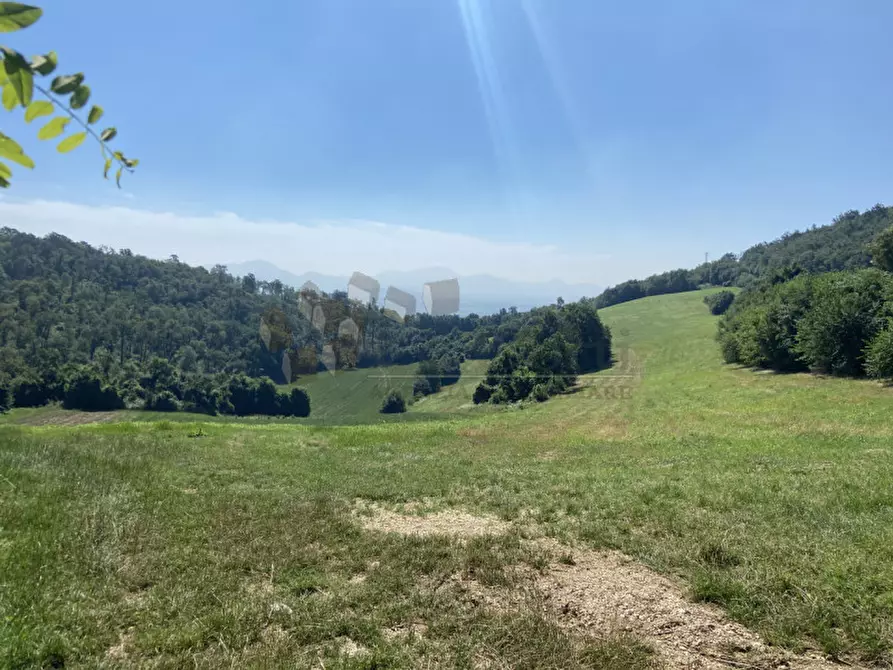 Immagine 3 di Terreno in vendita  a Val Liona