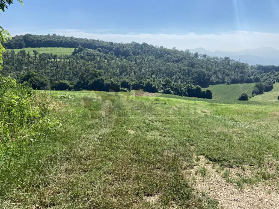 Immagine 4 di Terreno in vendita  a Val Liona