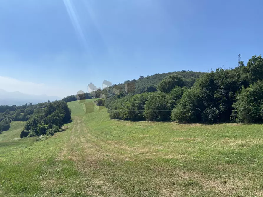 Immagine 5 di Terreno in vendita  a Val Liona