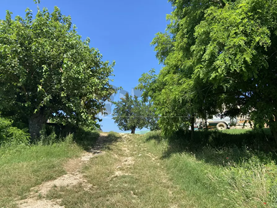 Immagine 6 di Terreno in vendita  a Val Liona