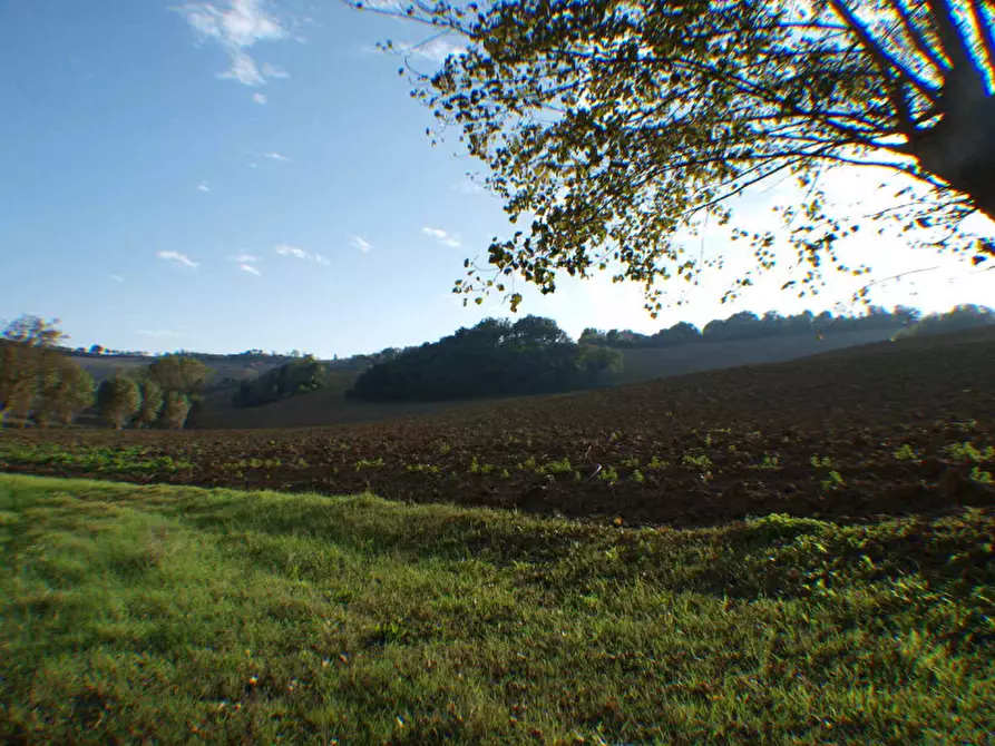 Immagine 6 di Rustico / casale in vendita  a Senigallia