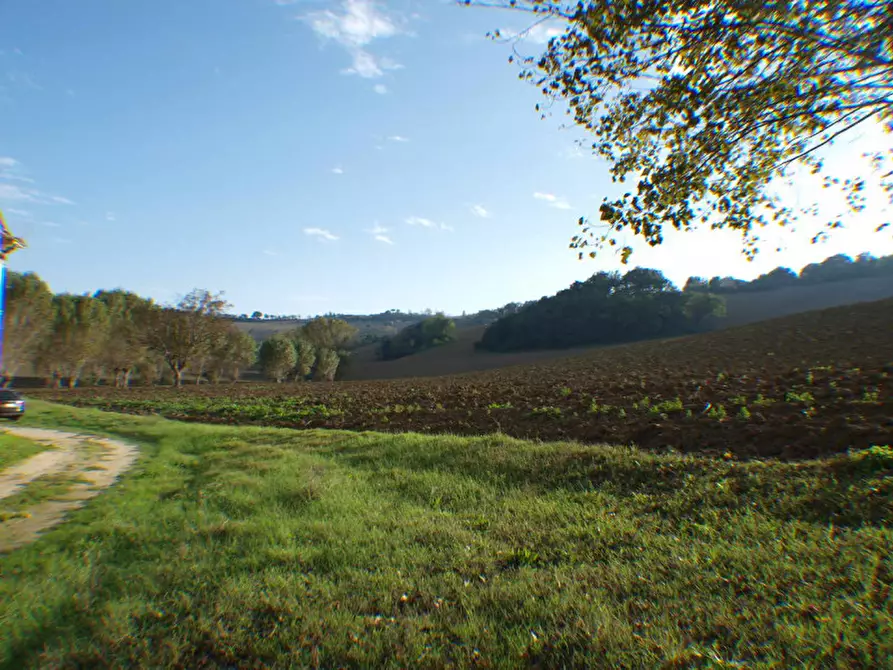 Immagine 7 di Rustico / casale in vendita  a Senigallia