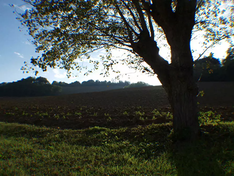 Immagine 8 di Rustico / casale in vendita  a Senigallia