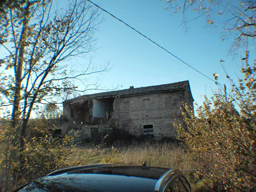 Immagine 2 di Rustico / casale in vendita  a Ostra