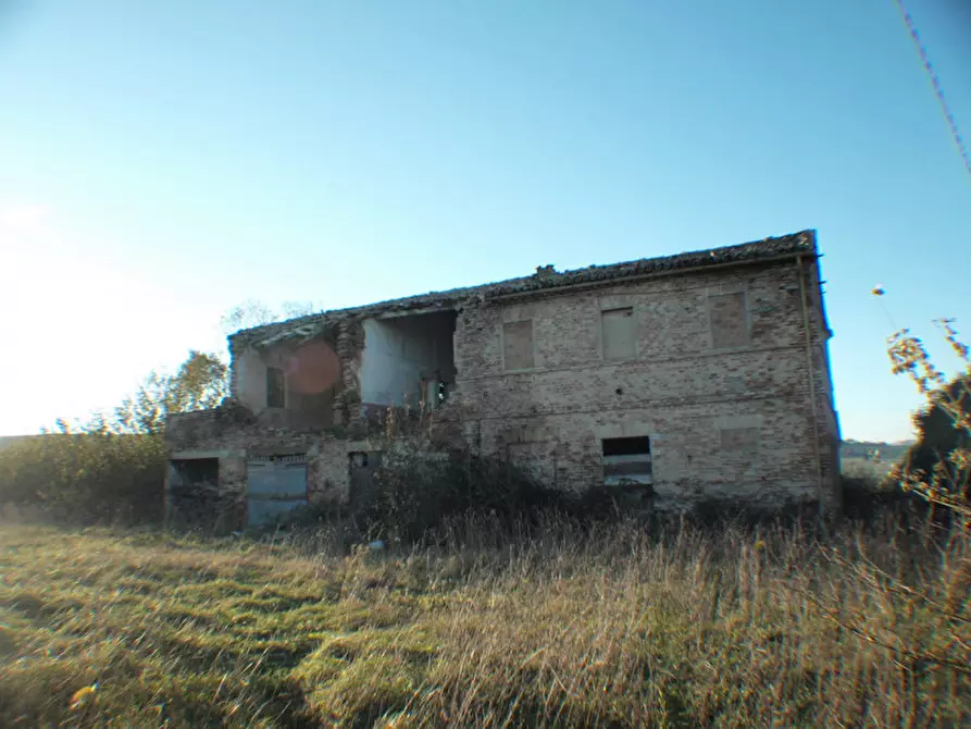 Immagine 3 di Rustico / casale in vendita  a Ostra