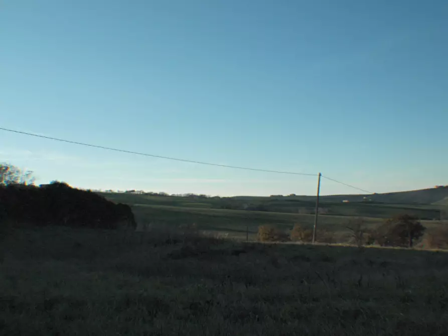 Immagine 9 di Rustico / casale in vendita  a Ostra