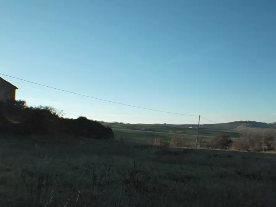 Immagine 12 di Rustico / casale in vendita  a Ostra