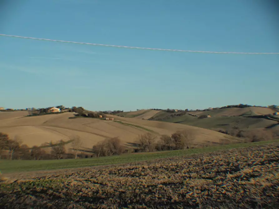 Immagine 18 di Rustico / casale in vendita  a Ostra