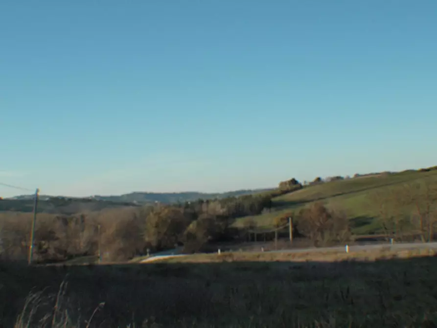 Immagine 20 di Rustico / casale in vendita  a Ostra