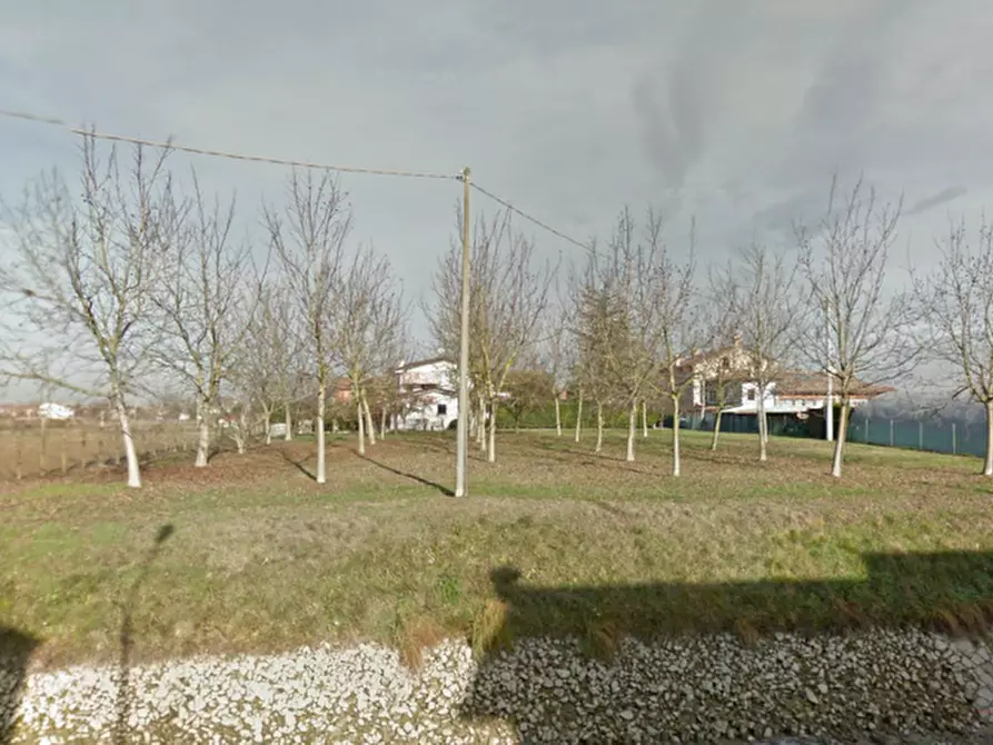 Immagine 1 di Terreno in vendita  a Legnaro