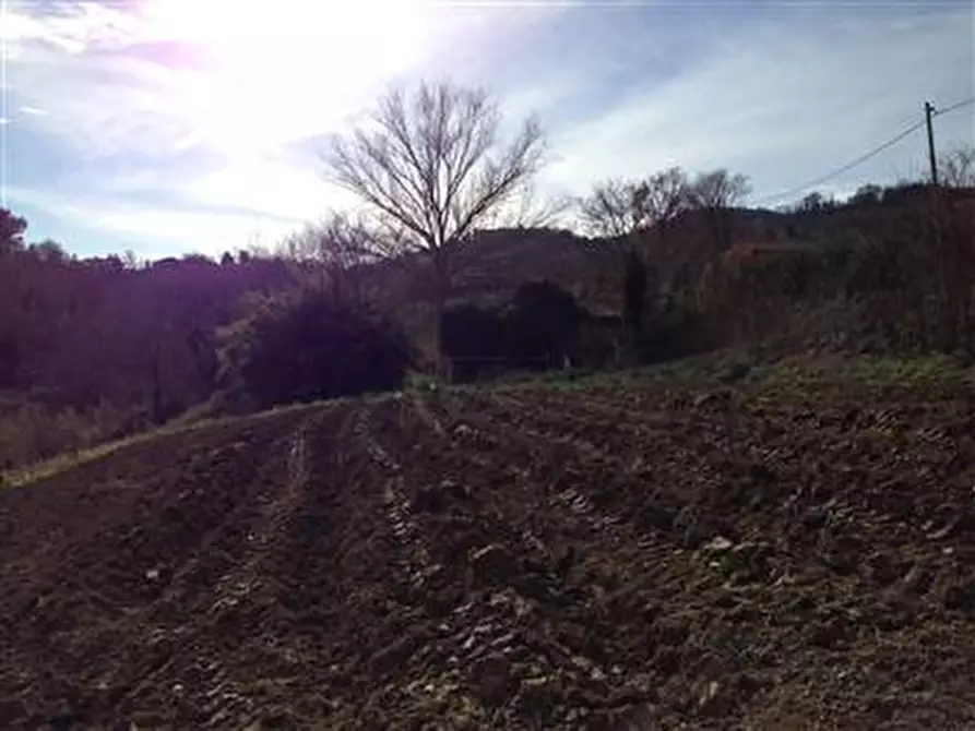 Immagine 4 di Rustico / casale in vendita  in Via Meleto a Saludecio