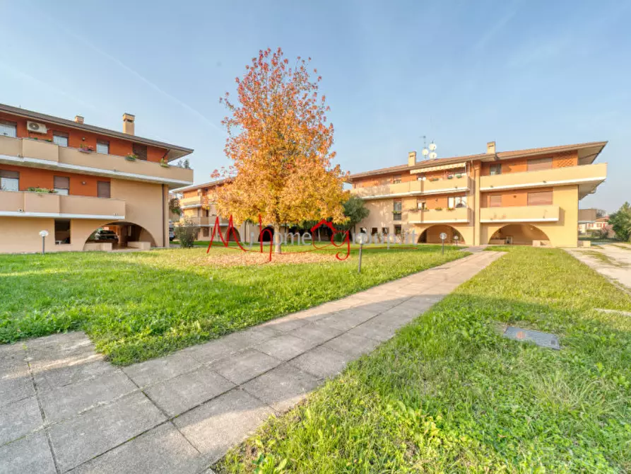 Immagine 1 di Appartamento in vendita  in Via Polesine a Padova