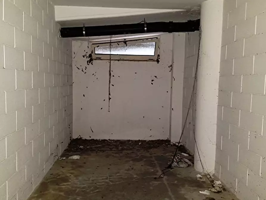 Immagine 26 di Negozio in vendita  in viale Settembrini a Rimini