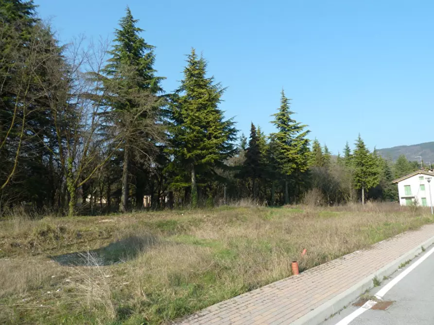 Immagine 4 di Terreno in vendita  a Tregnago