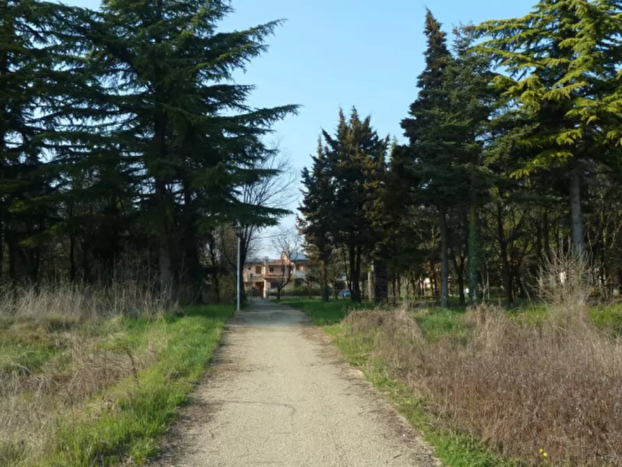 Immagine 5 di Terreno in vendita  a Tregnago
