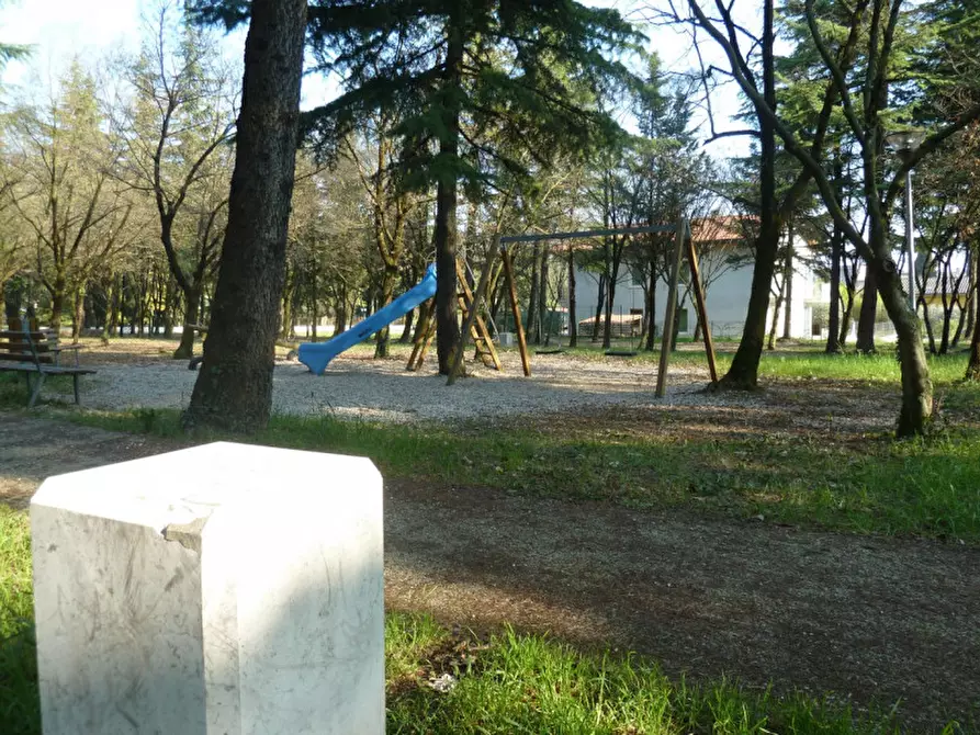 Immagine 7 di Terreno in vendita  a Tregnago