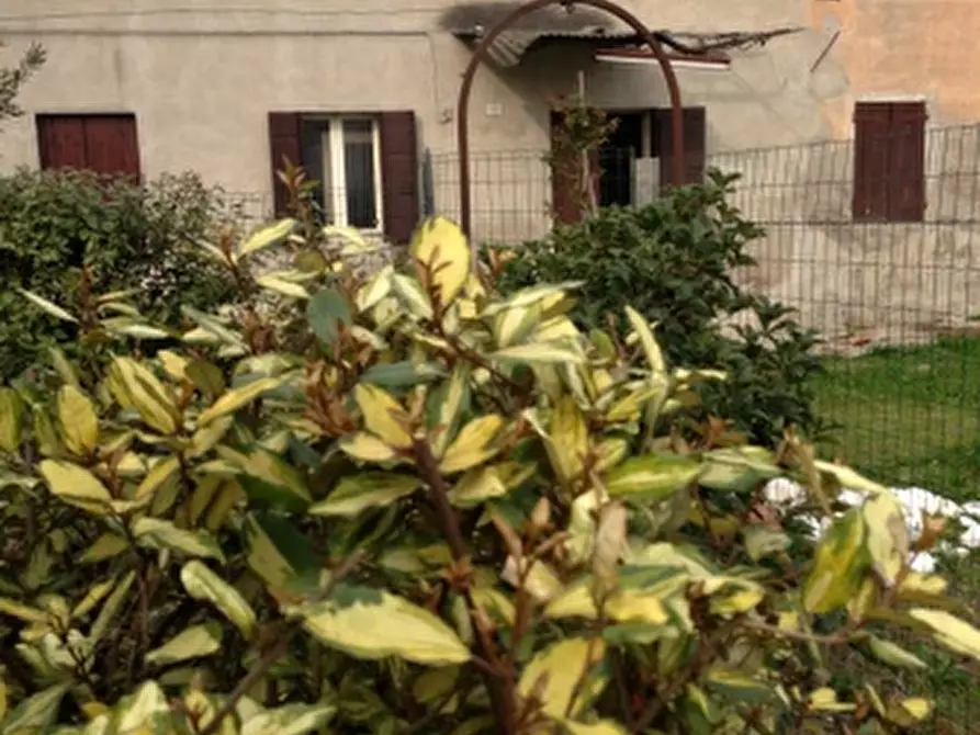 Immagine 2 di Rustico / casale in vendita  in Via Comungrande a Cartura
