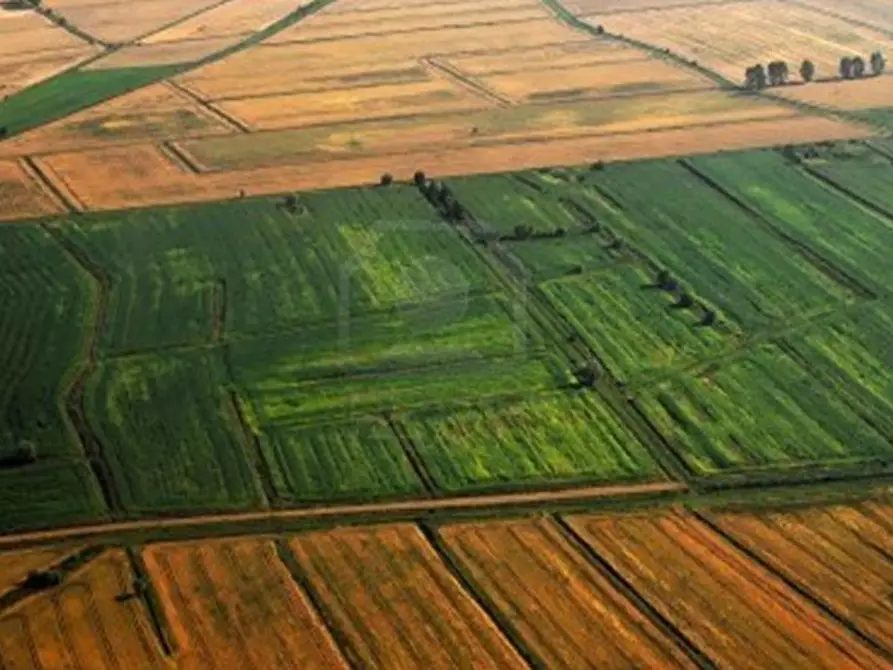 Immagine 2 di Terreno in vendita  in Piove di Sacco e limitrofi a Piove Di Sacco