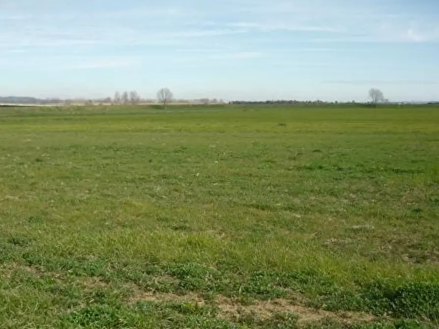 Immagine 3 di Terreno in vendita  in Piove di Sacco e limitrofi a Piove Di Sacco