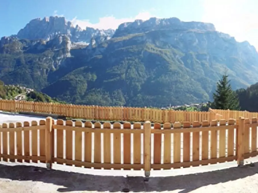 Immagine 6 di Terreno in vendita  in Ronch a San Tomaso Agordino