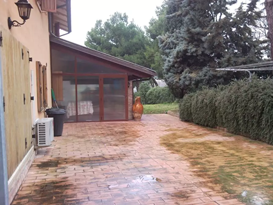 Immagine 6 di Appartamento in vendita  a Senigallia