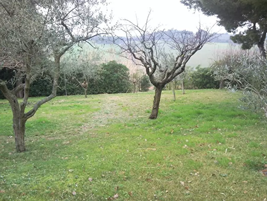 Immagine 7 di Appartamento in vendita  a Senigallia