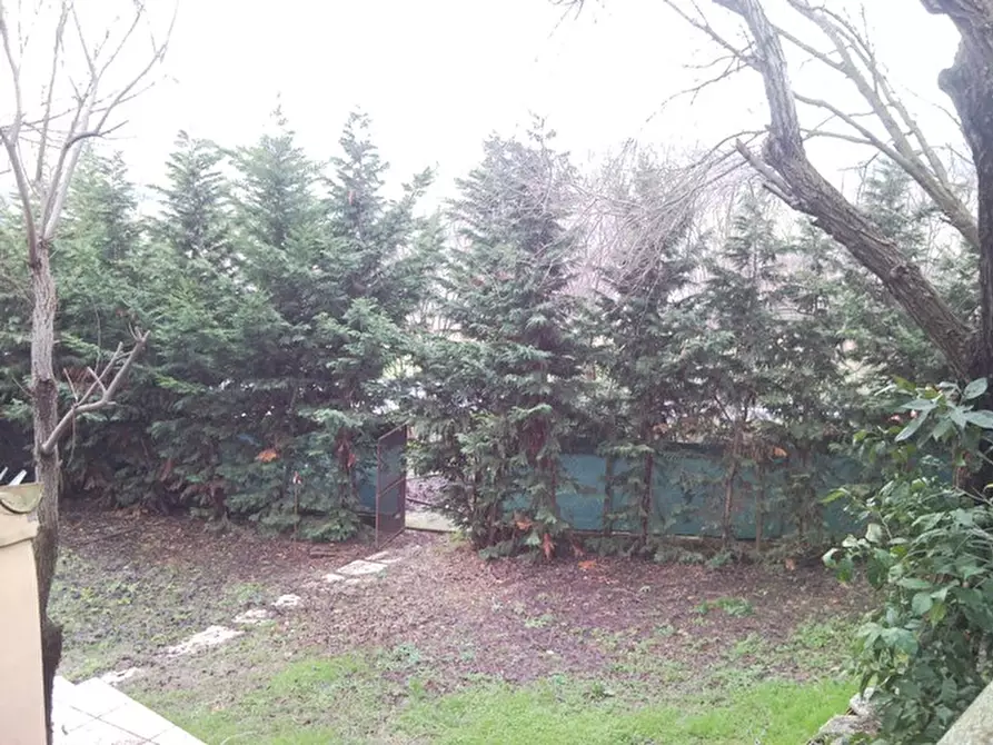 Immagine 9 di Appartamento in vendita  a Senigallia