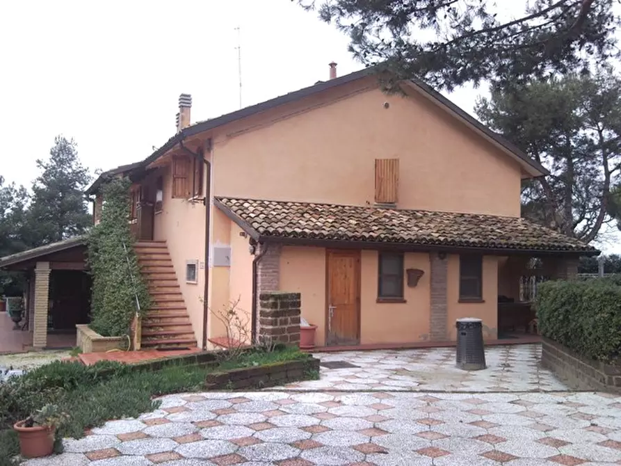 Immagine 18 di Appartamento in vendita  a Senigallia