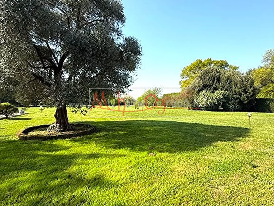 Immagine 3 di Villa in vendita  a Selvazzano Dentro