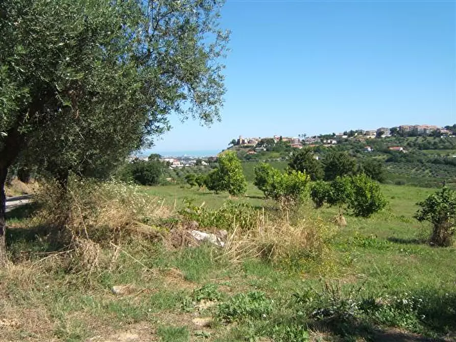 Immagine 4 di Terreno in vendita  in C.DA COLLEVENTO a Montesilvano