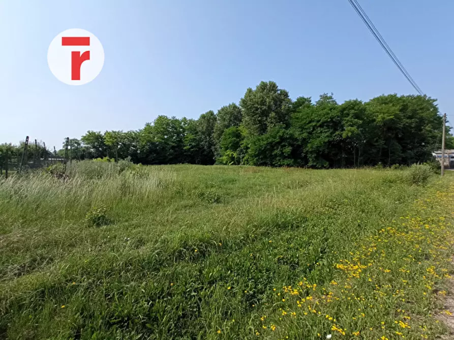 Immagine 4 di Casa bifamiliare in vendita  in Via Ca' Rossa a Limena