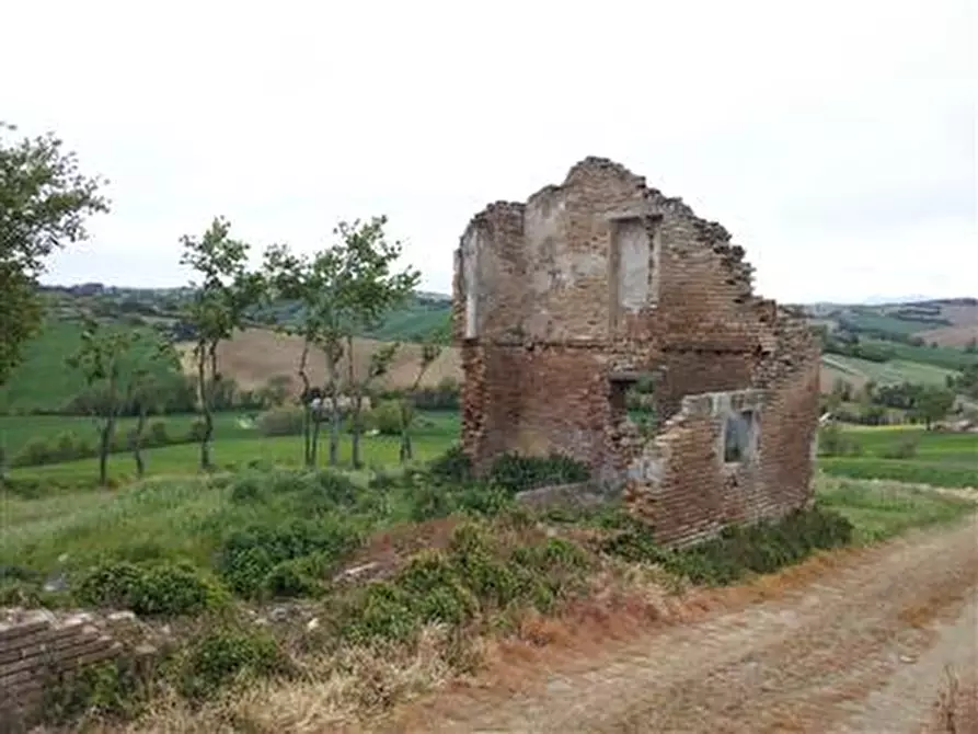 Immagine 2 di Rustico / casale in vendita  in Strada Provinciale 123 a San Costanzo