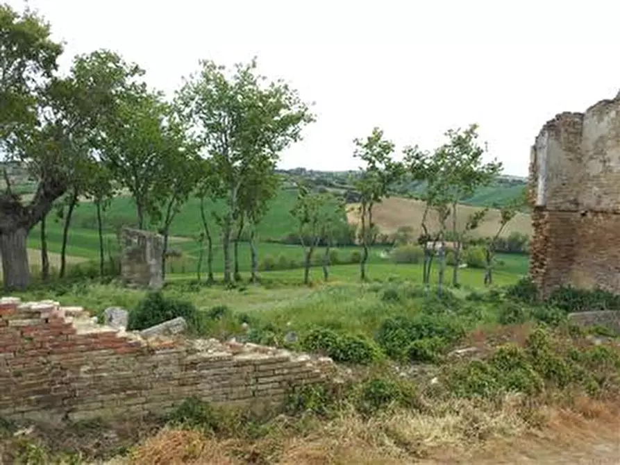 Immagine 3 di Rustico / casale in vendita  in Strada Provinciale 123 a San Costanzo