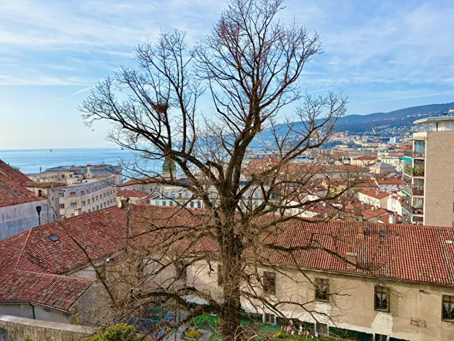 Immagine 5 di Appartamento in affitto  in via delle Monache 1 a Trieste