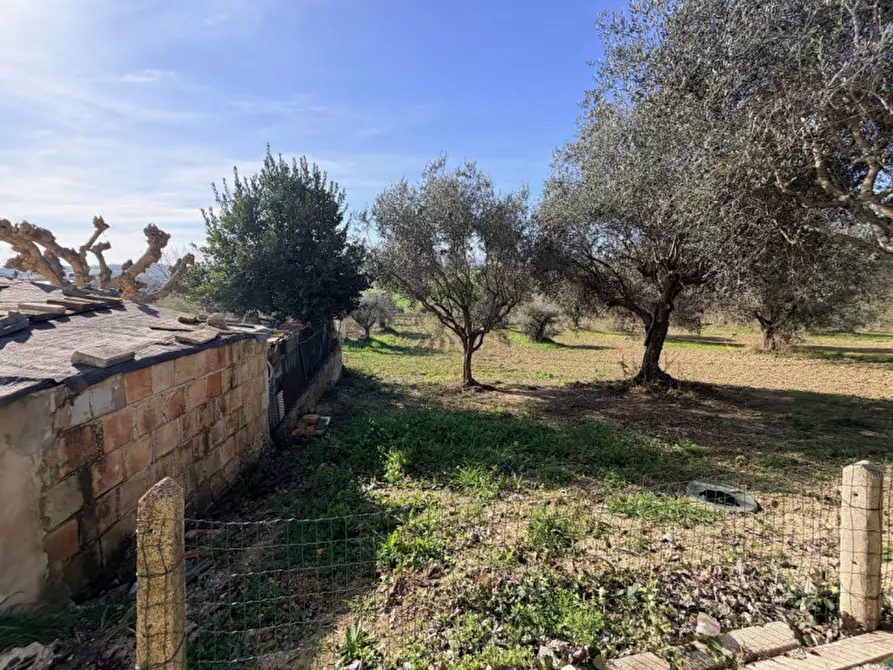 Immagine 3 di Villetta a schiera in vendita  a Senigallia