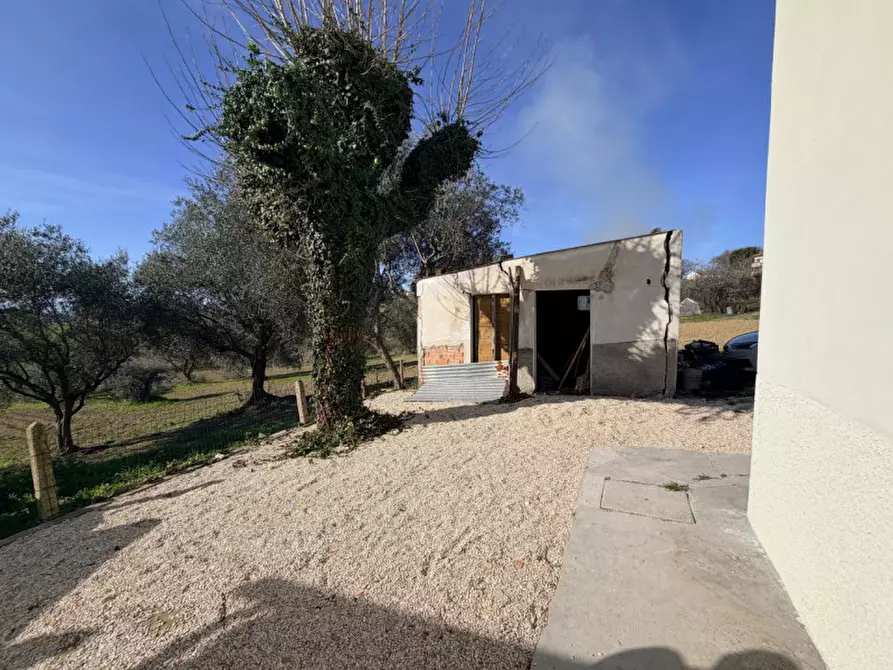 Immagine 18 di Villetta a schiera in vendita  a Senigallia