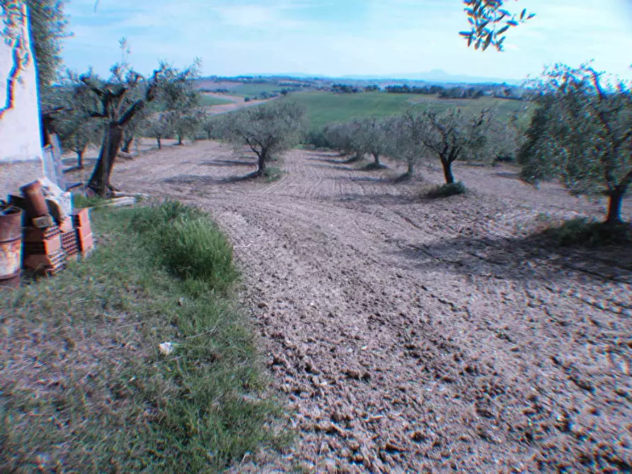 Immagine 19 di Villetta a schiera in vendita  a Senigallia
